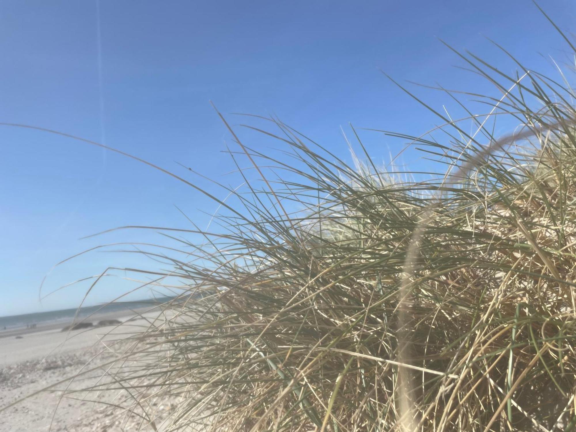 Vue Mer, Golfe Et Dunes- Residence Dunes Du Golfe Wimereux Exteriér fotografie